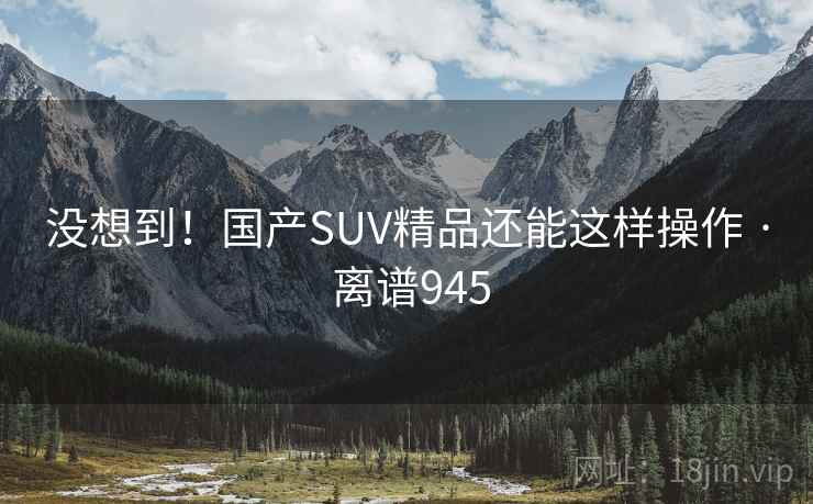 没想到!国产SUV精品还能这样操作 · 离谱945